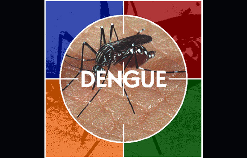 dengue