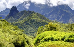 vallée de la Fautaua © DR