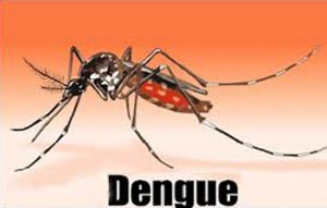 Progression de l’épidémie de dengue en Polynésie française © DR