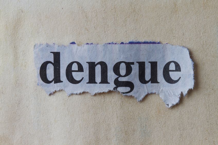 Dengue © ragsac / 123RF