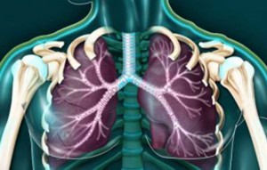 L’aérosolthérapie est utile dans le traitement de certaines maladies respiratoires comme l’asthme ou la dilatation des bronches. © DR