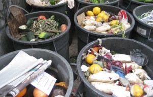 Semaine de réduction des déchets, un bilan très positif © DR