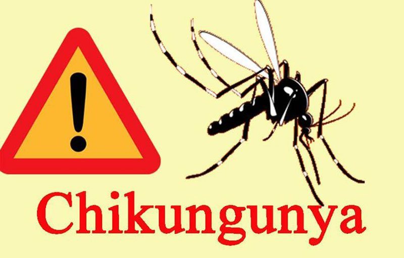 chikungunya-ok