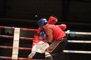 tori vs faufau