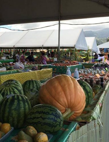 Foire agricole