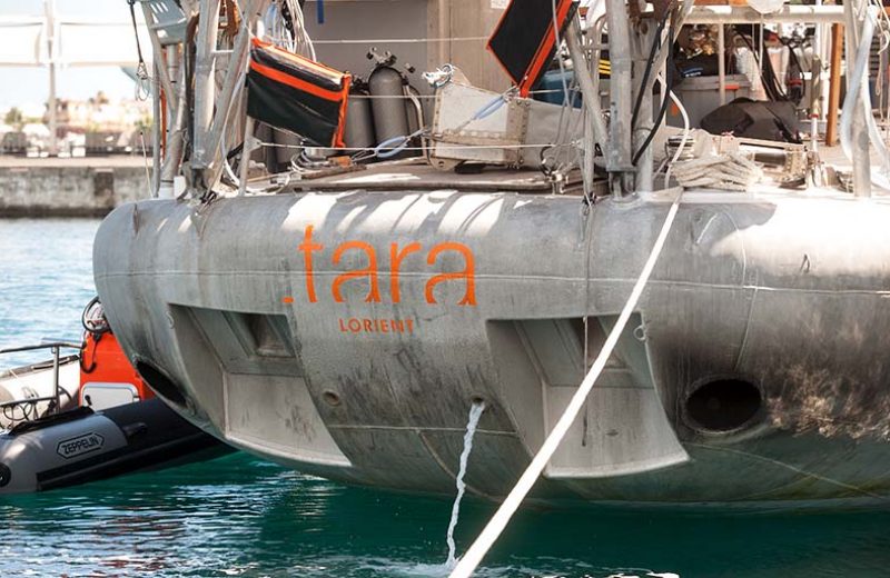 tara-pacifique-2016_cdc1962