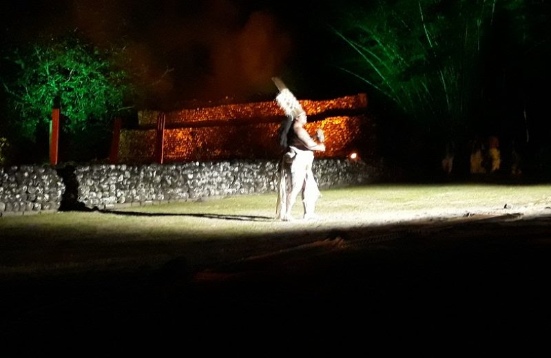 21