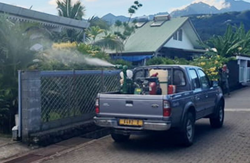 2 dengue