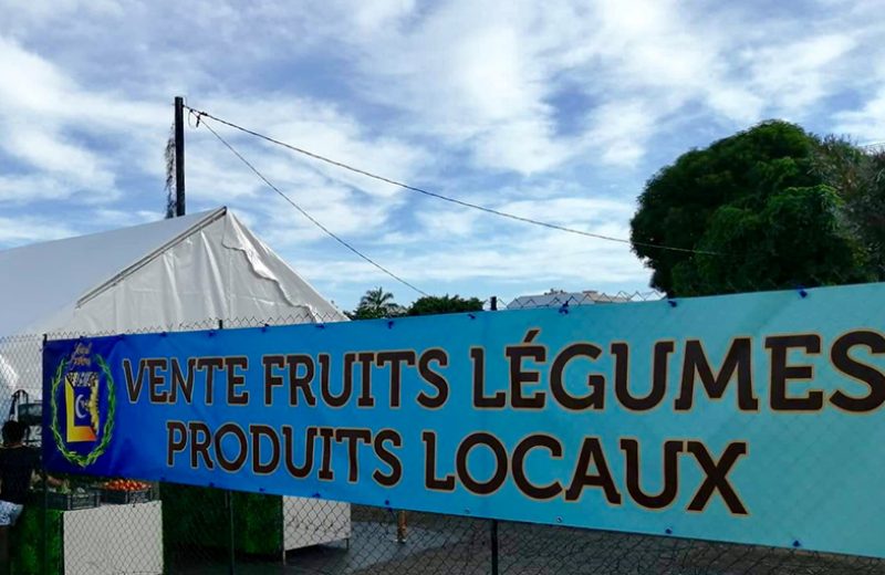 local farms fruits legume (1)