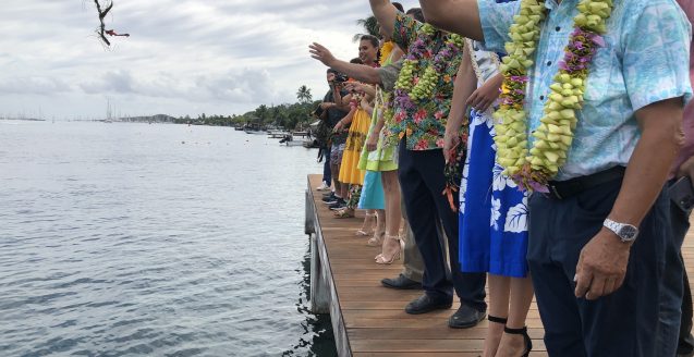 Parc Taapuna - Punaauia