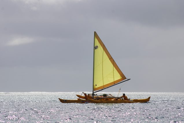 vaa holopuni