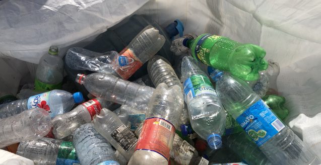 déchets-clean up day-nautisport-bouteilles plastiques