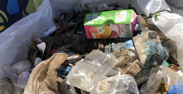 déchets-clean up day-nautisport