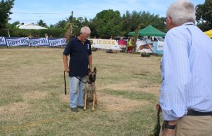 Chiens Exposition canine toutes races était organisée par l’Association canine territoriale PF