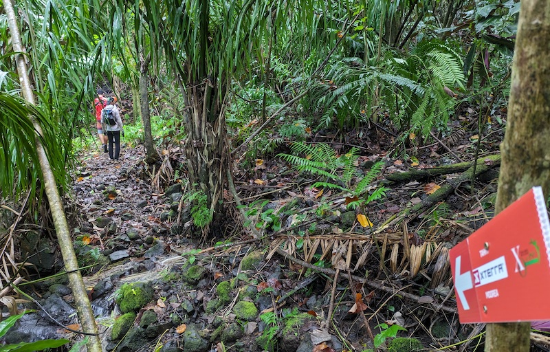 Xterra trails Moorea