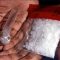 ice drogue